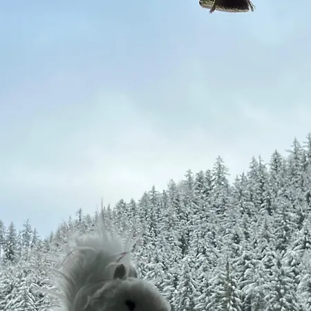 Pod Pustevnami *